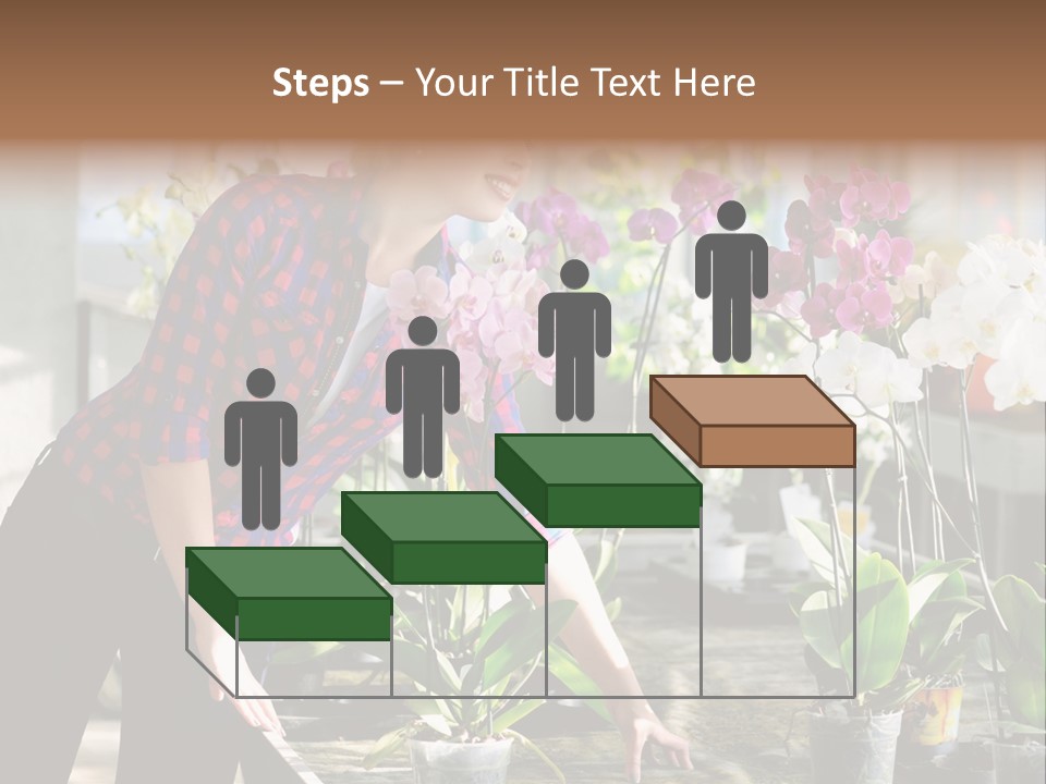 Houseplant Female Orchid PowerPoint Template