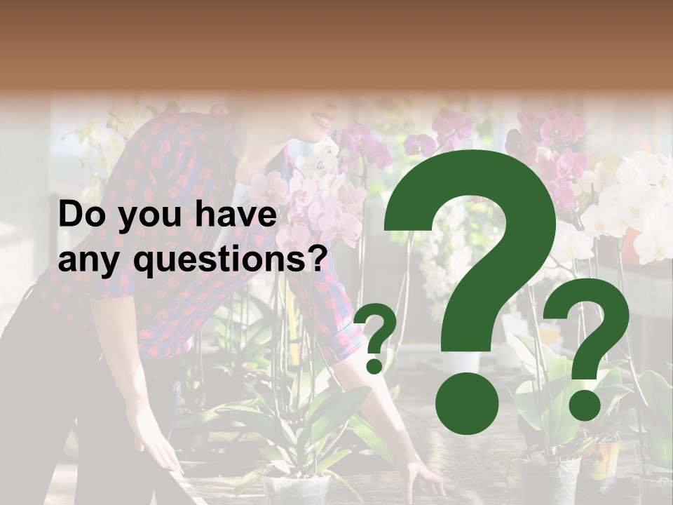 Houseplant Female Orchid PowerPoint Template