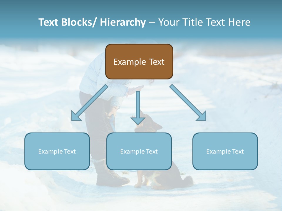 Teaching Loving Animals PowerPoint Template