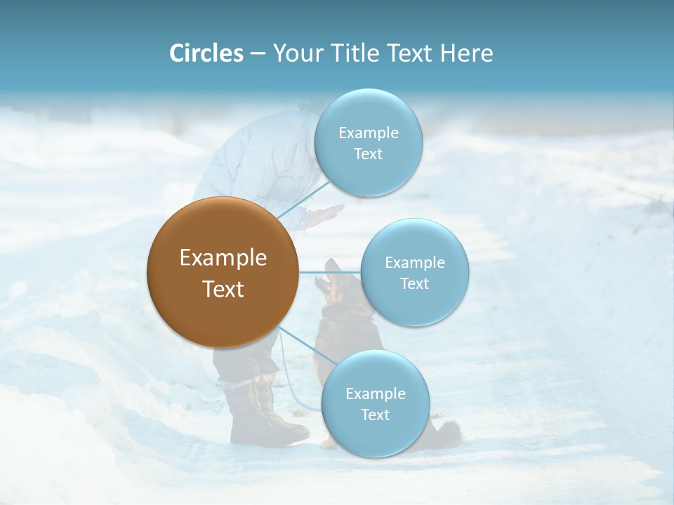 Teaching Loving Animals PowerPoint Template