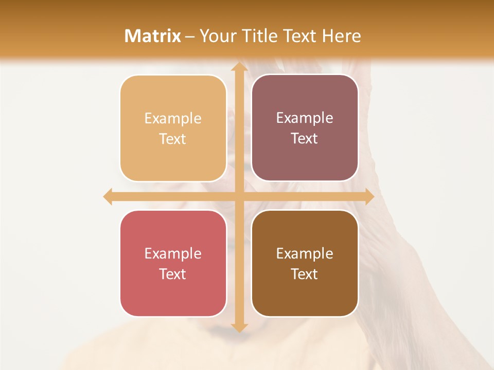 Positive Older Smile PowerPoint Template