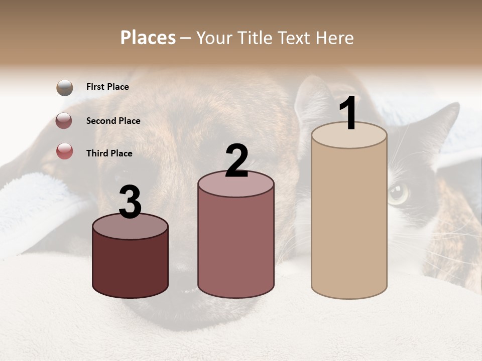 Gazing Relations Front PowerPoint Template