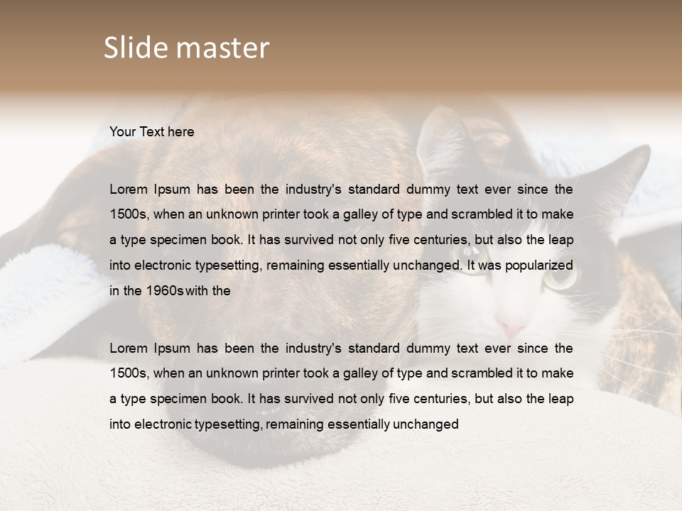 Gazing Relations Front PowerPoint Template