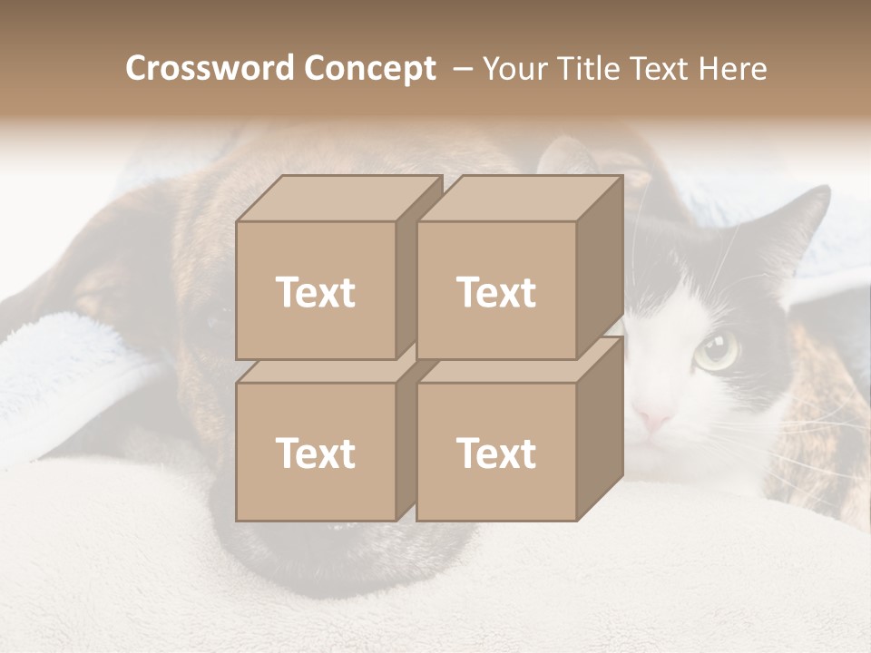 Gazing Relations Front PowerPoint Template