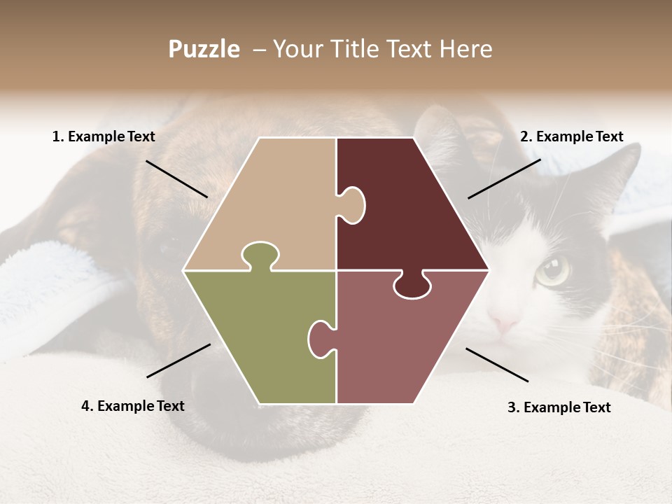 Gazing Relations Front PowerPoint Template