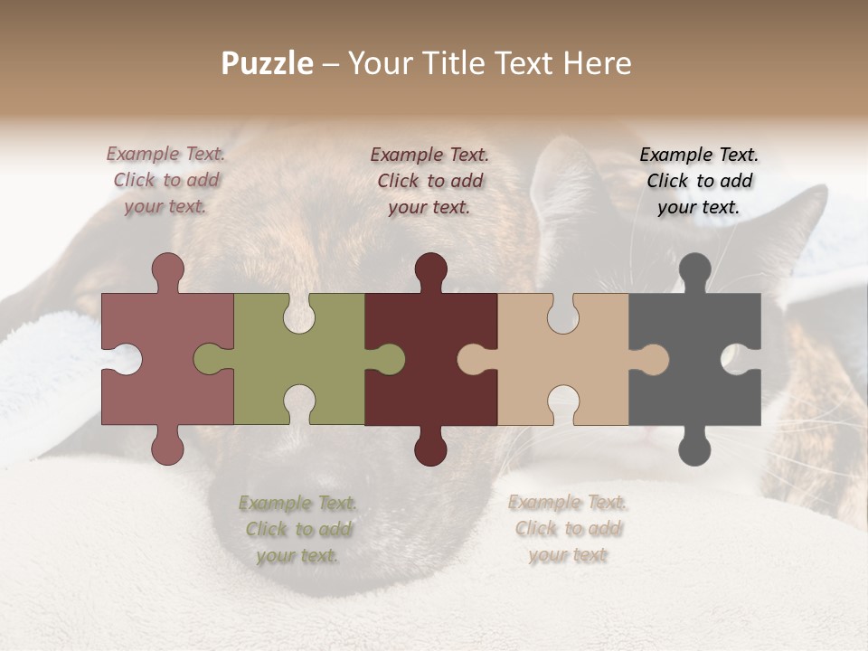 Gazing Relations Front PowerPoint Template