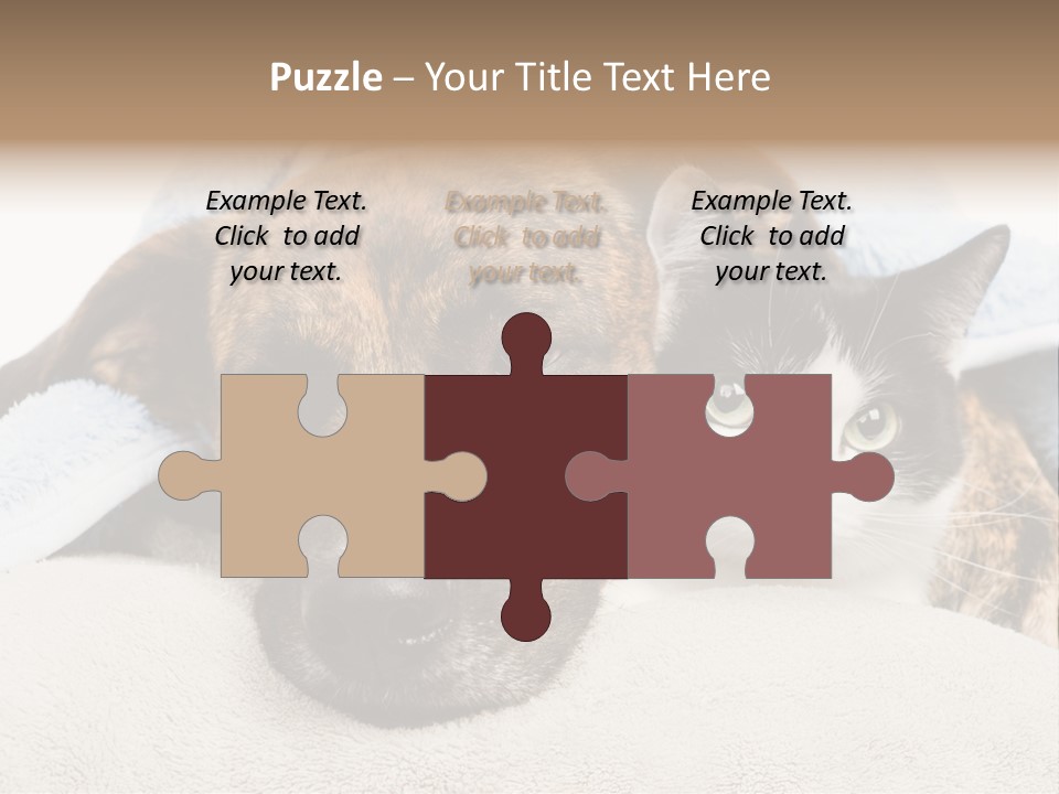 Gazing Relations Front PowerPoint Template