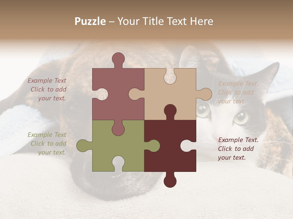 Gazing Relations Front PowerPoint Template