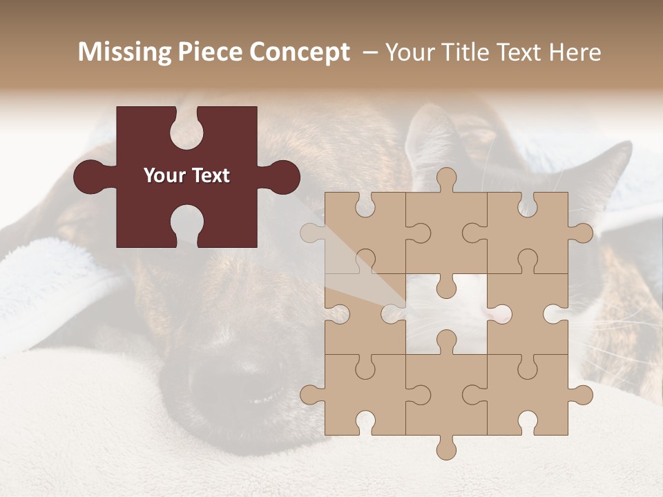 Gazing Relations Front PowerPoint Template