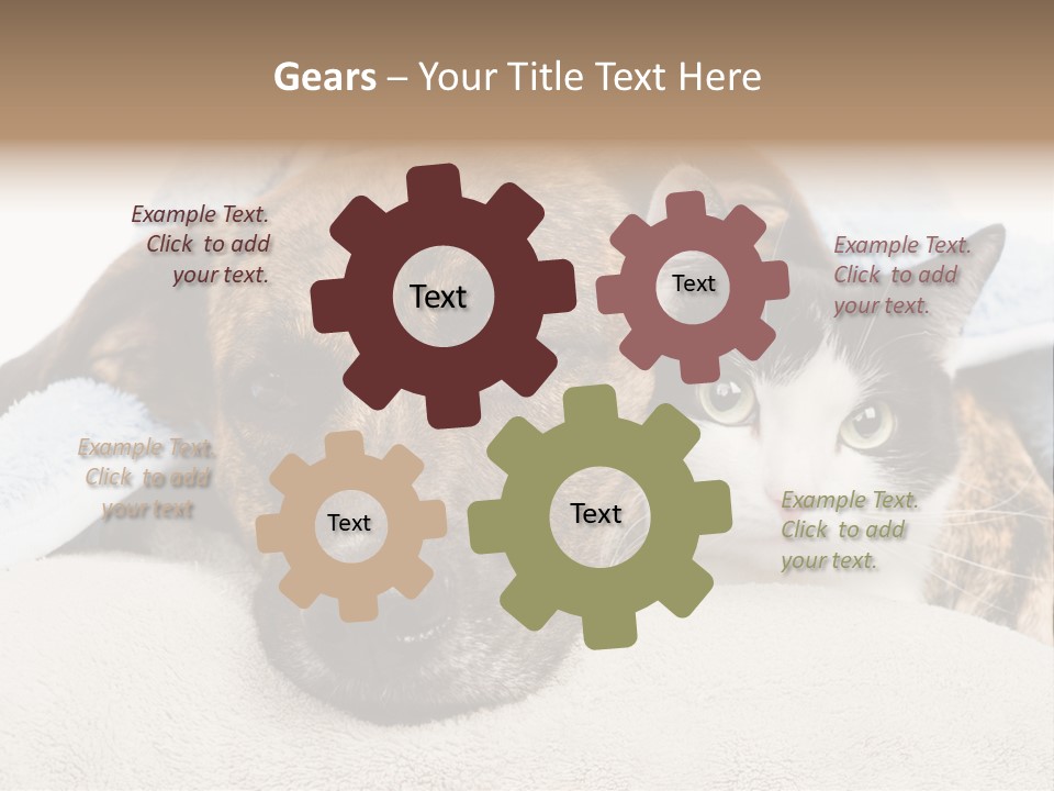 Gazing Relations Front PowerPoint Template