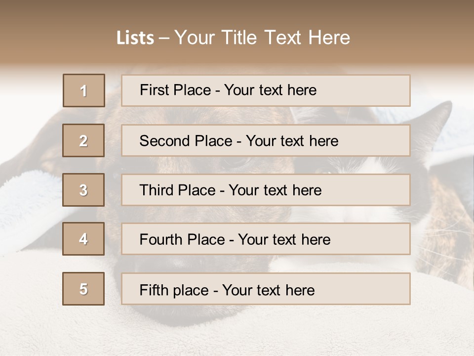 Gazing Relations Front PowerPoint Template