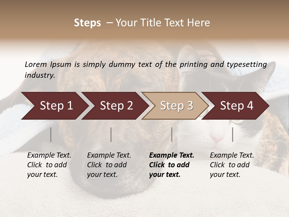 Gazing Relations Front PowerPoint Template