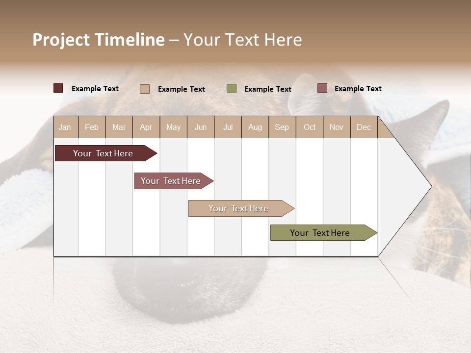 Gazing Relations Front PowerPoint Template