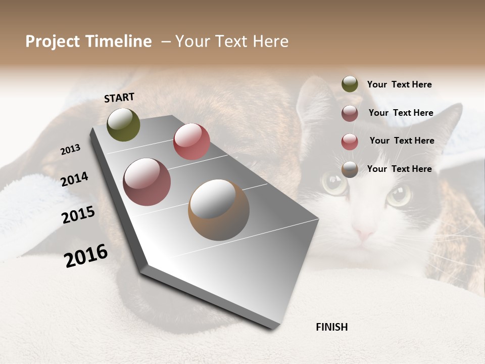 Gazing Relations Front PowerPoint Template