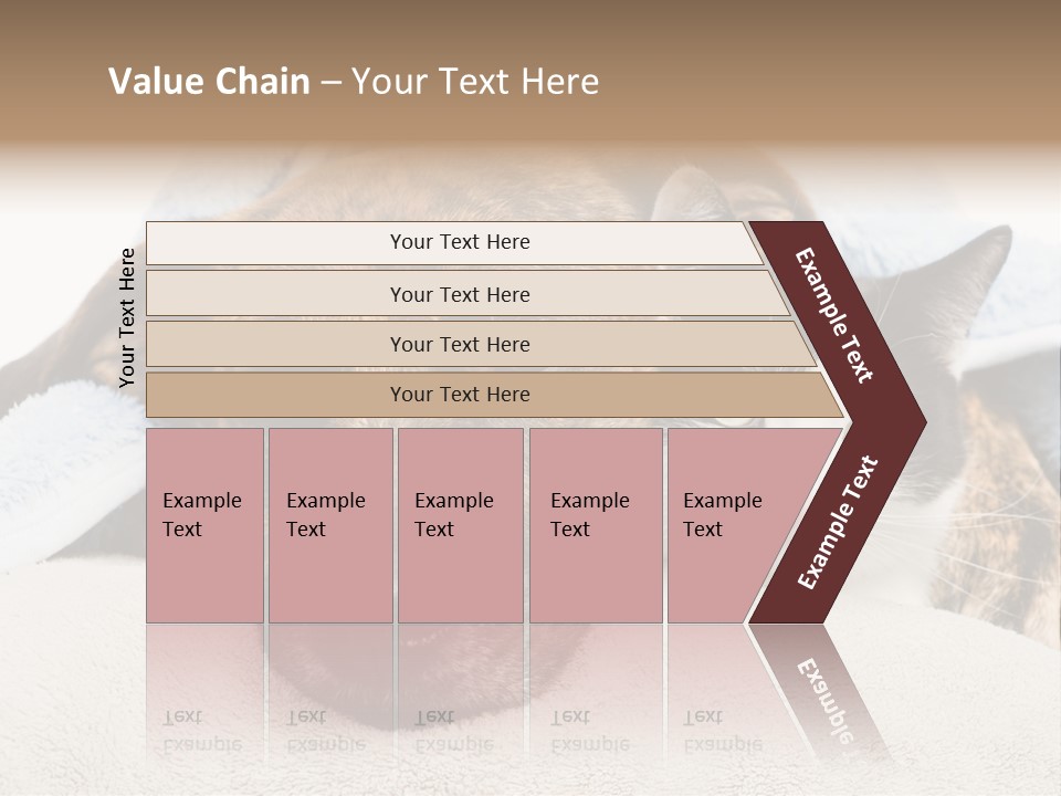 Gazing Relations Front PowerPoint Template