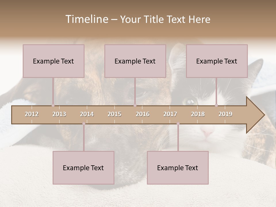 Gazing Relations Front PowerPoint Template