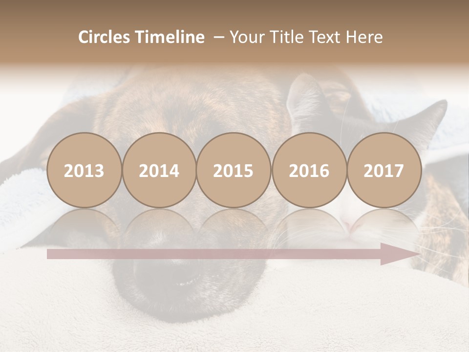 Gazing Relations Front PowerPoint Template