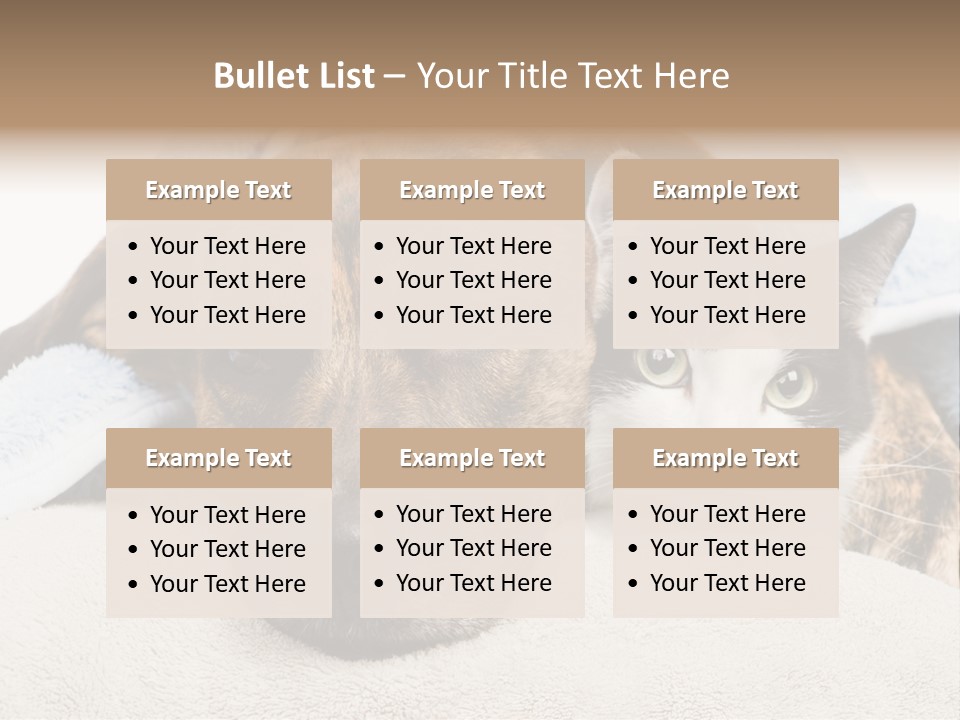 Gazing Relations Front PowerPoint Template