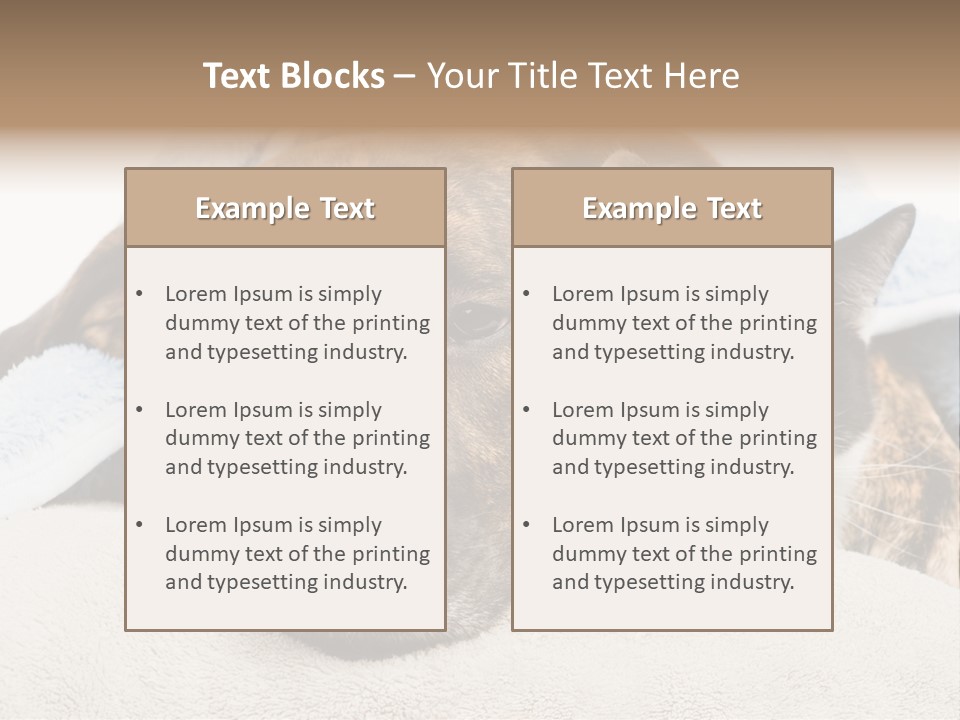 Gazing Relations Front PowerPoint Template