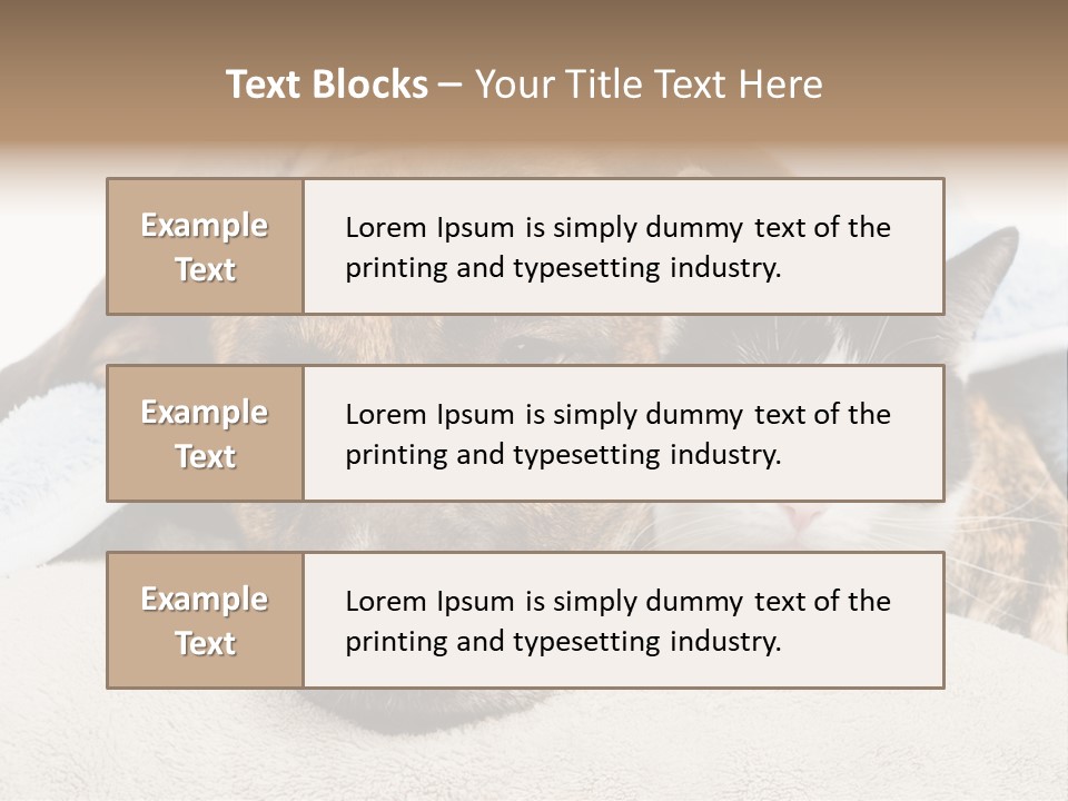 Gazing Relations Front PowerPoint Template
