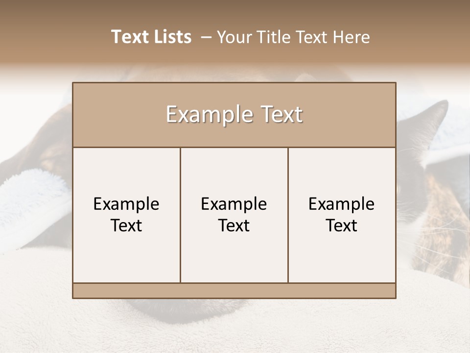 Gazing Relations Front PowerPoint Template