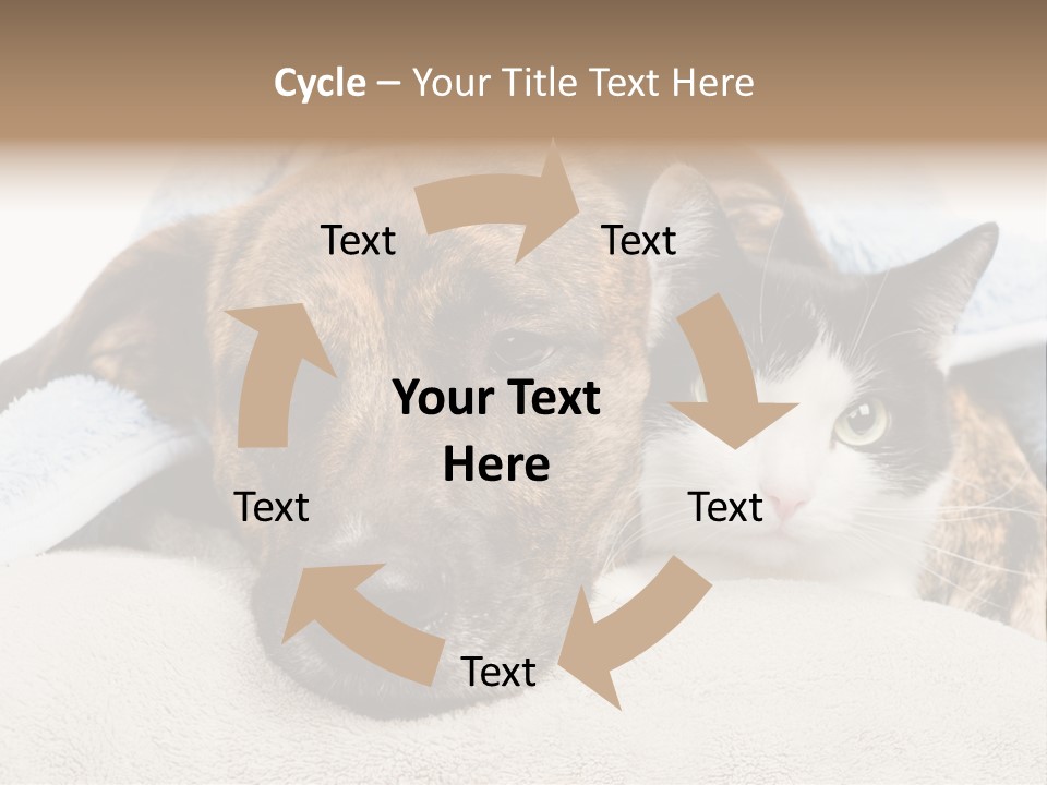 Gazing Relations Front PowerPoint Template