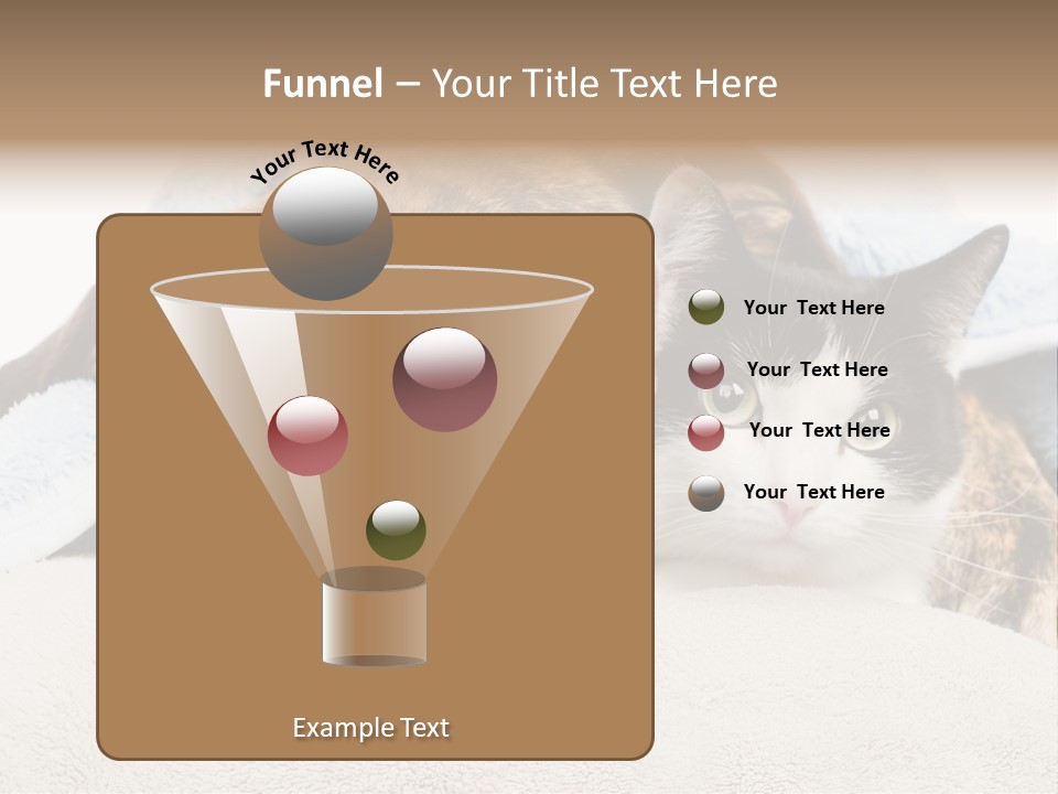 Gazing Relations Front PowerPoint Template