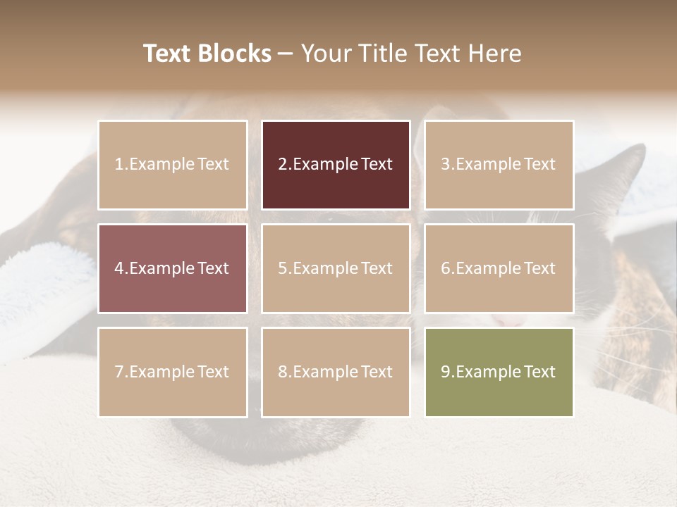 Gazing Relations Front PowerPoint Template