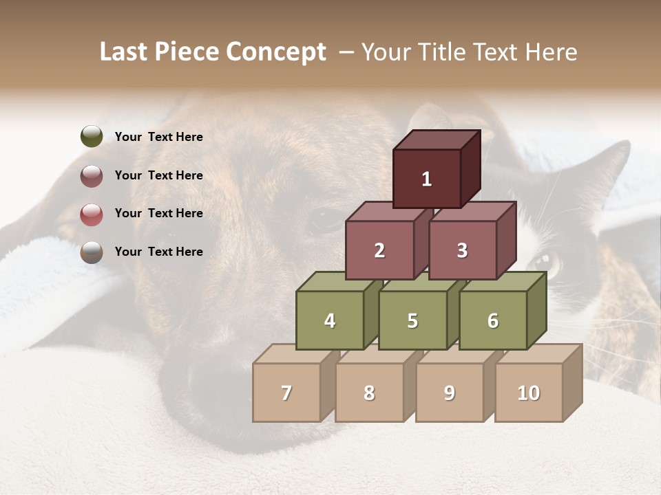 Gazing Relations Front PowerPoint Template