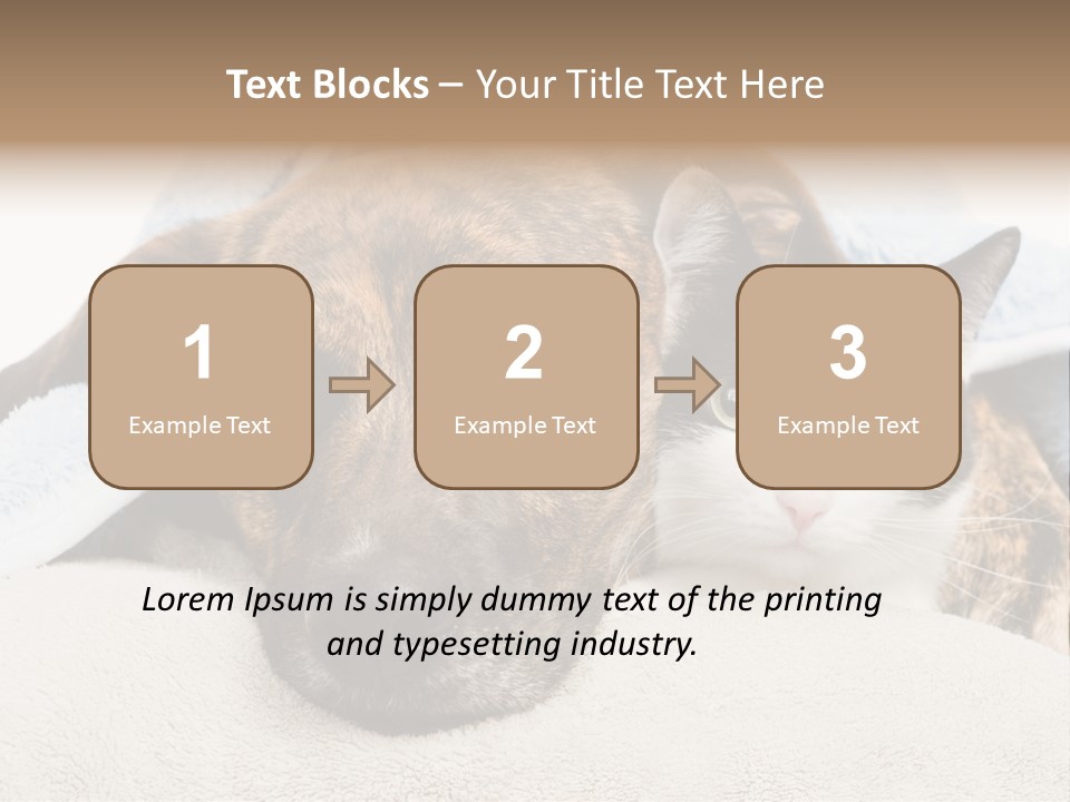 Gazing Relations Front PowerPoint Template