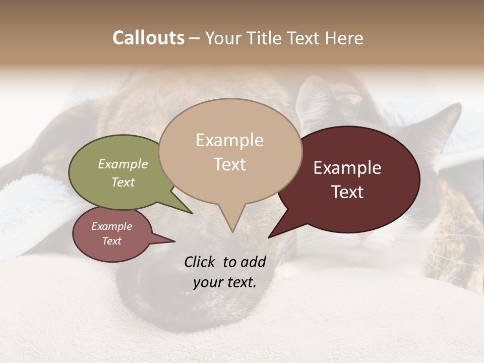 Gazing Relations Front PowerPoint Template