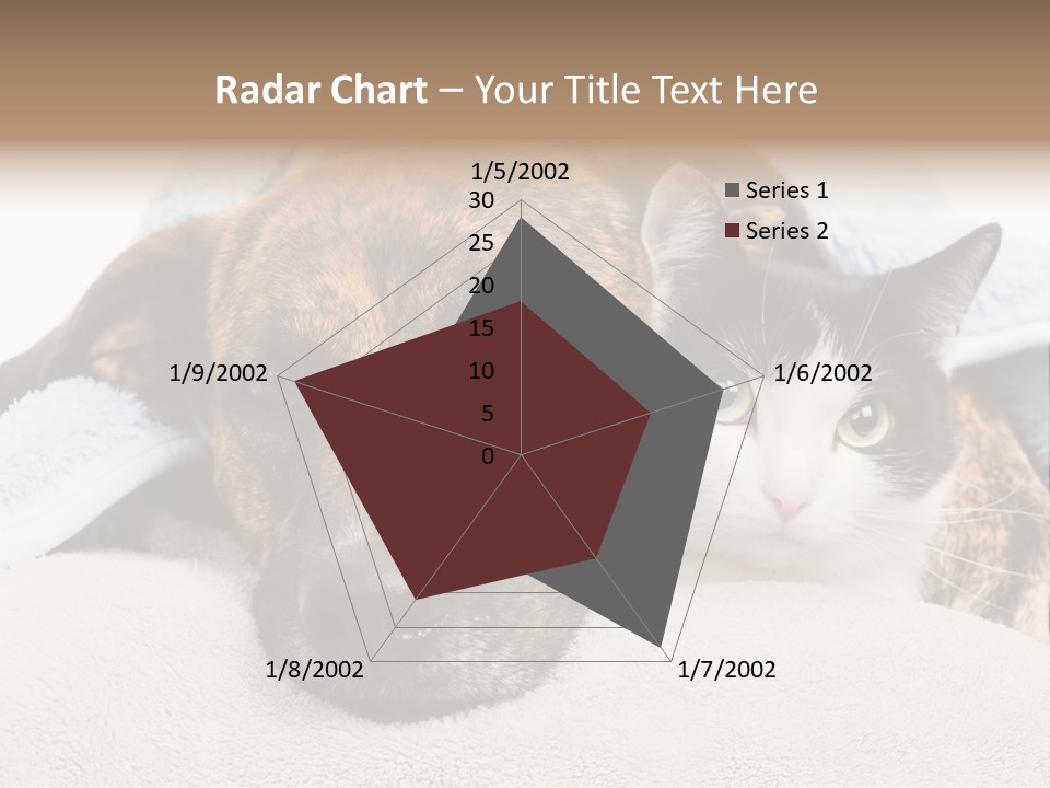 Gazing Relations Front PowerPoint Template