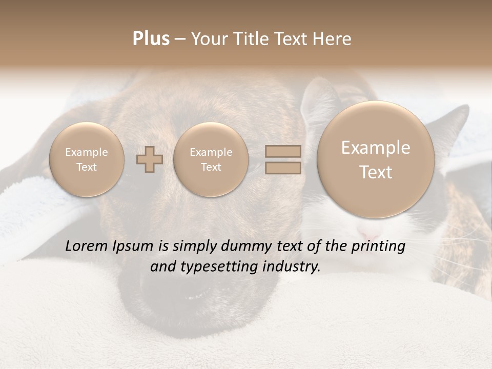 Gazing Relations Front PowerPoint Template