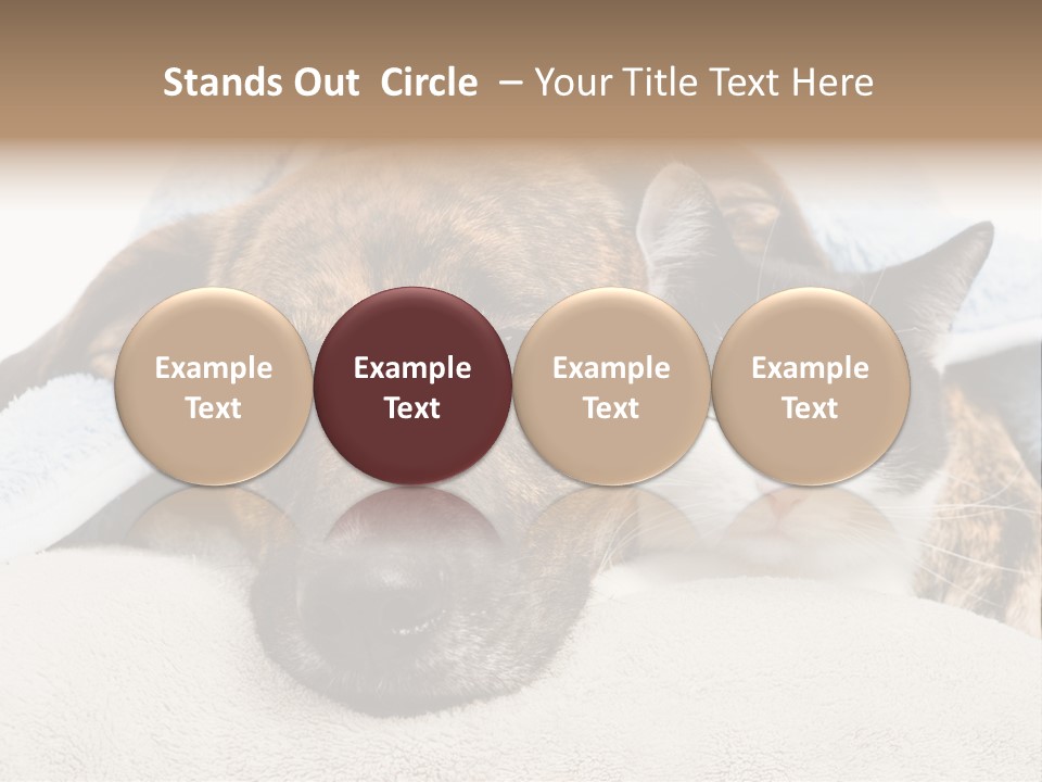 Gazing Relations Front PowerPoint Template