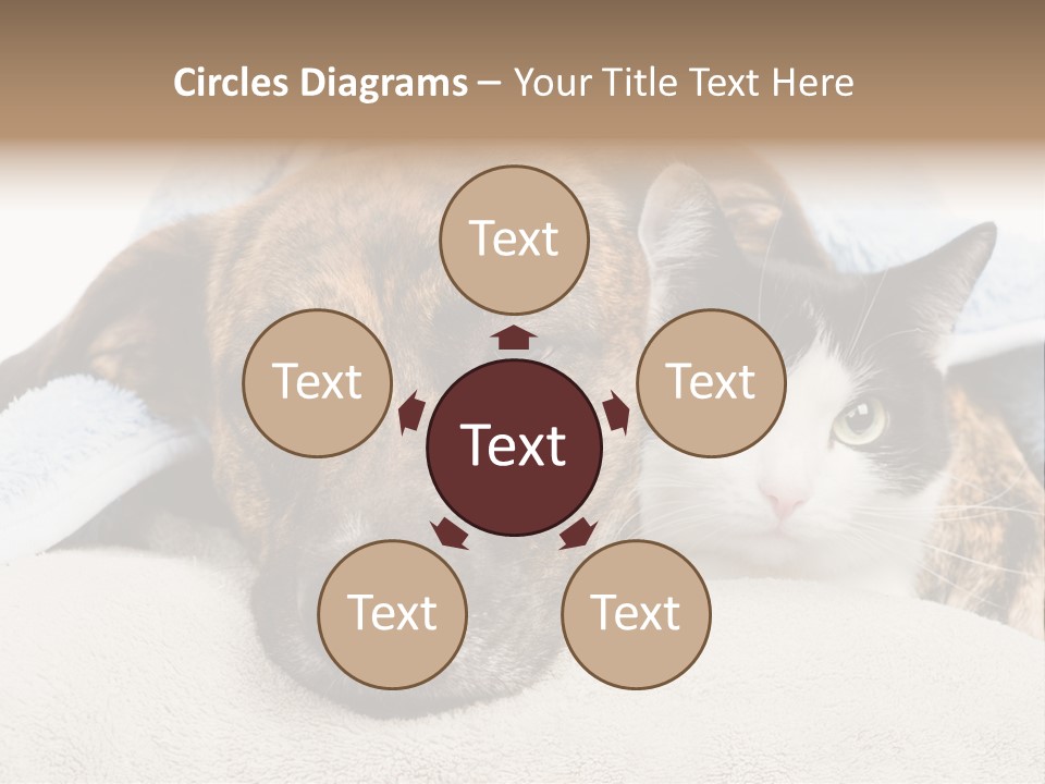 Gazing Relations Front PowerPoint Template