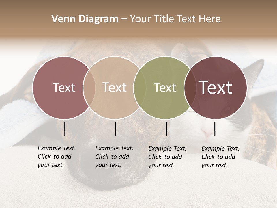 Gazing Relations Front PowerPoint Template