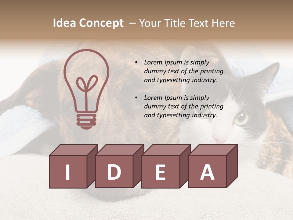 Gazing Relations Front PowerPoint Template