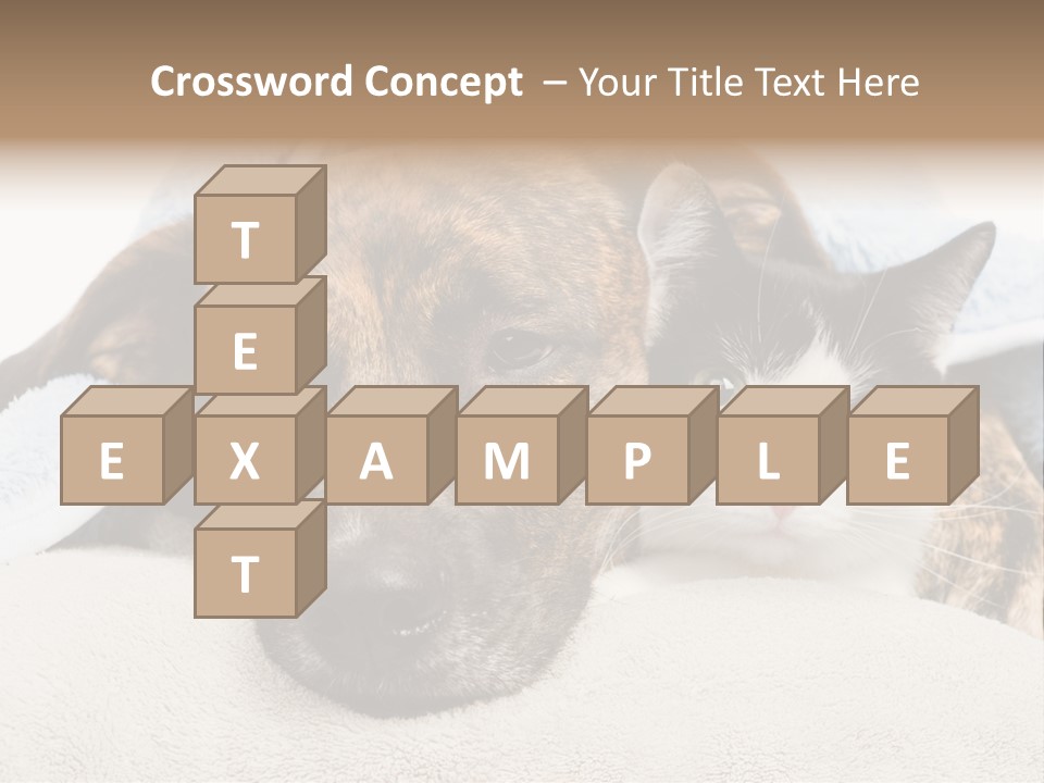 Gazing Relations Front PowerPoint Template