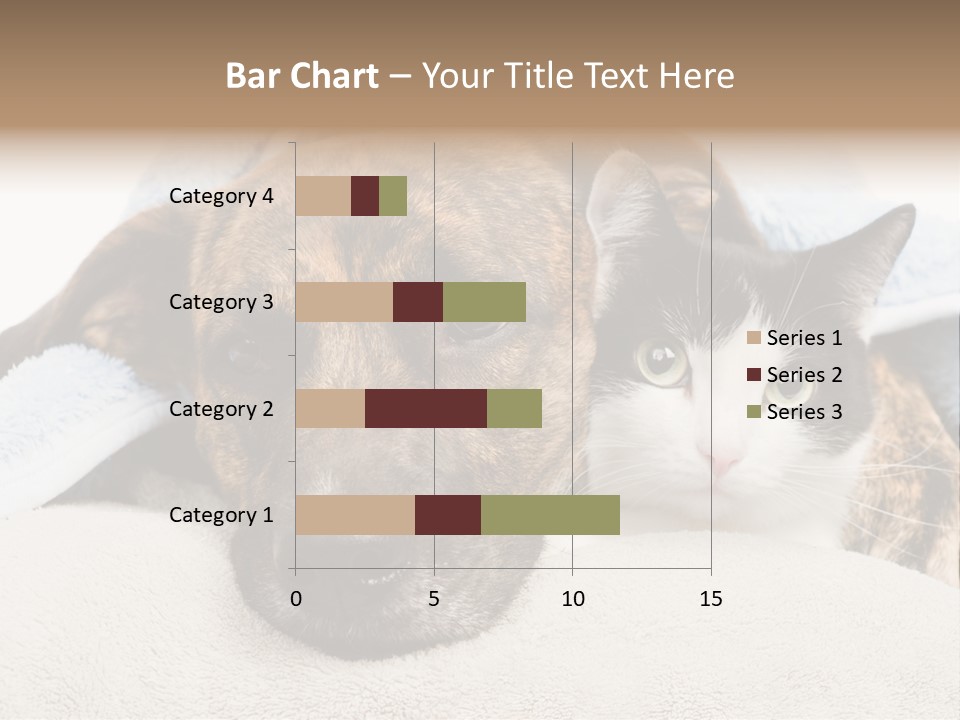 Gazing Relations Front PowerPoint Template