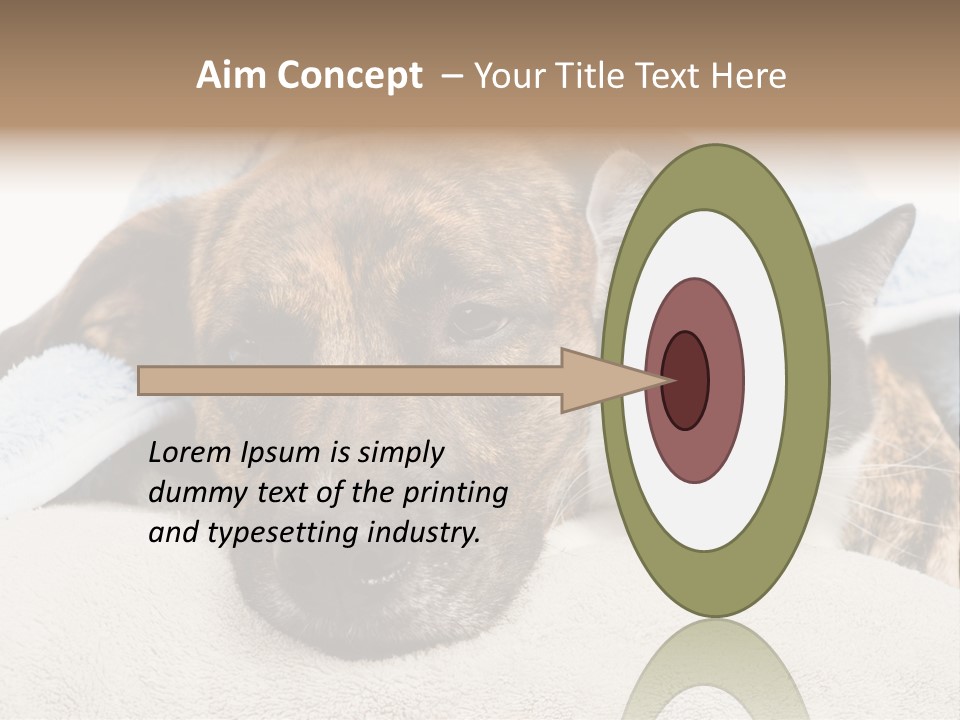 Gazing Relations Front PowerPoint Template