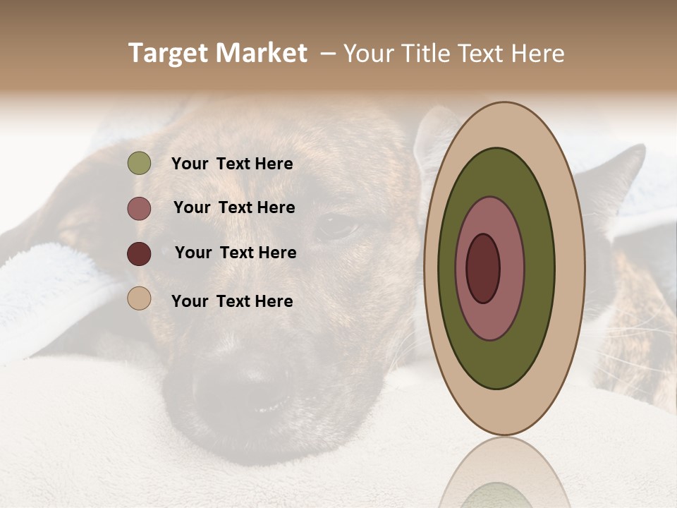 Gazing Relations Front PowerPoint Template