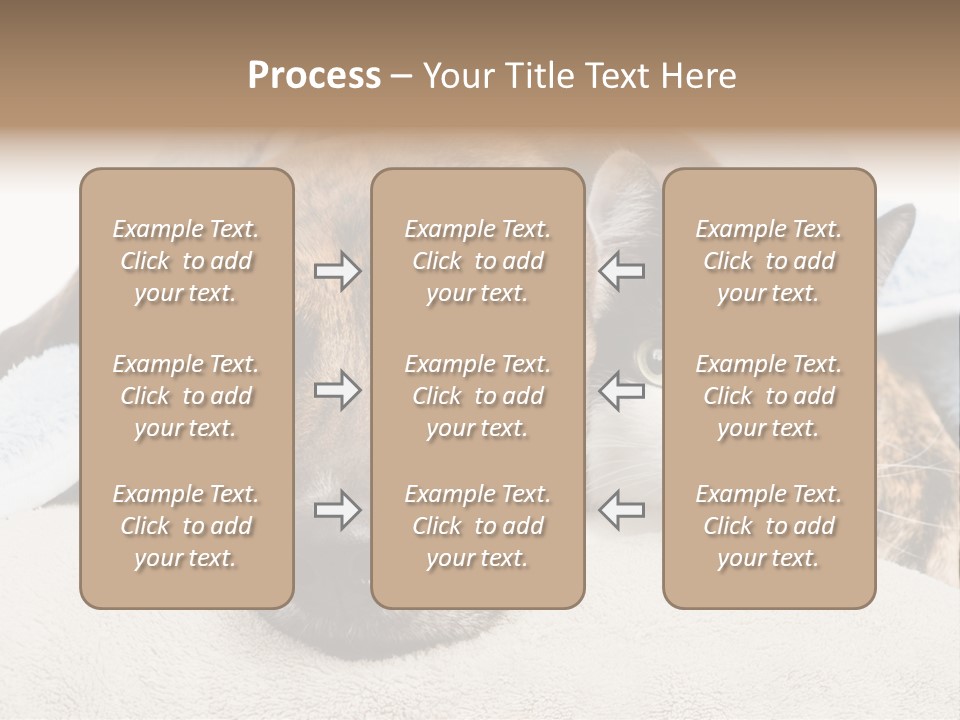 Gazing Relations Front PowerPoint Template