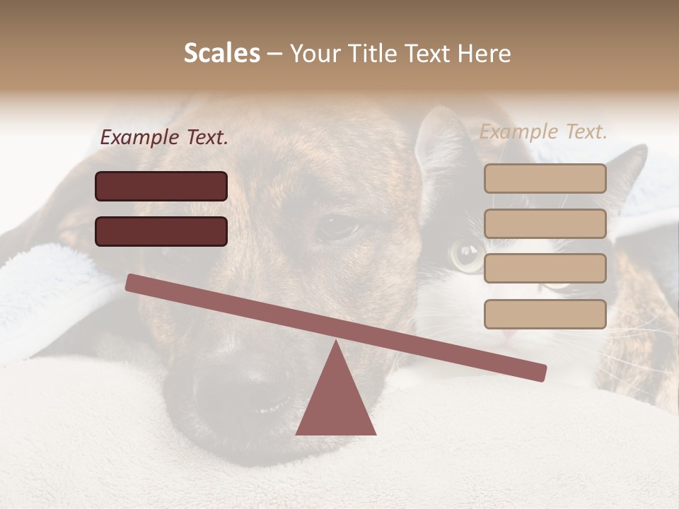 Gazing Relations Front PowerPoint Template