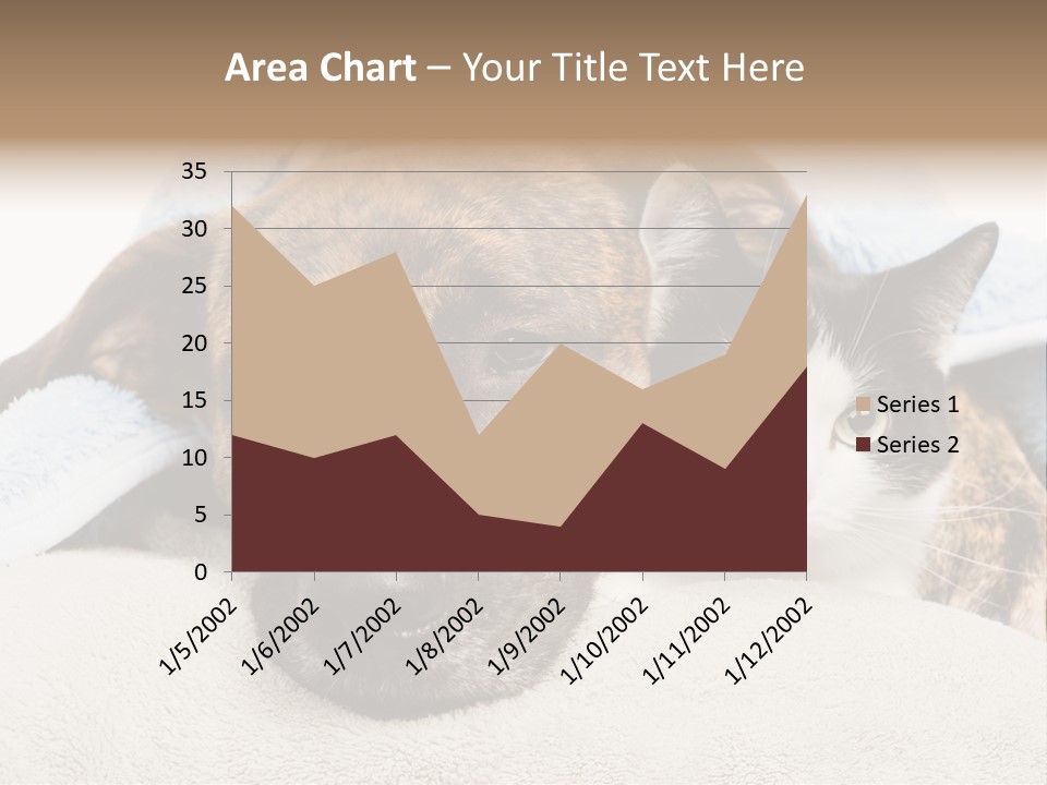 Gazing Relations Front PowerPoint Template