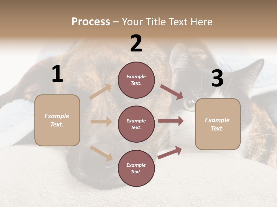 Gazing Relations Front PowerPoint Template