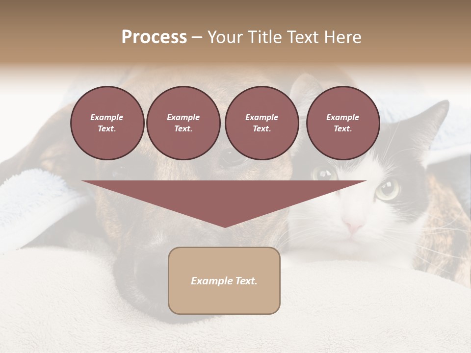 Gazing Relations Front PowerPoint Template