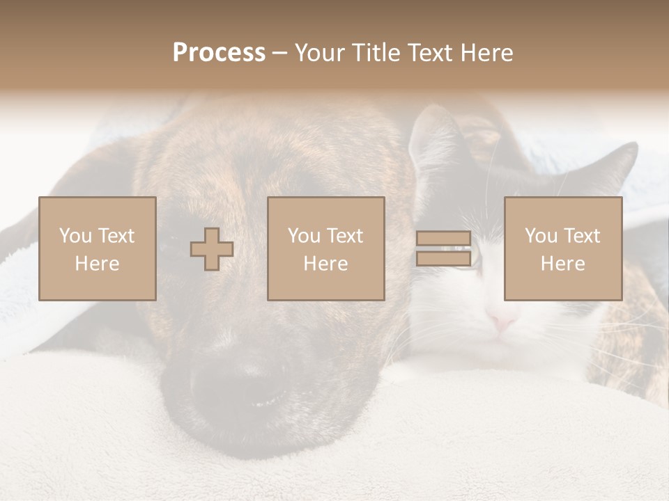 Gazing Relations Front PowerPoint Template