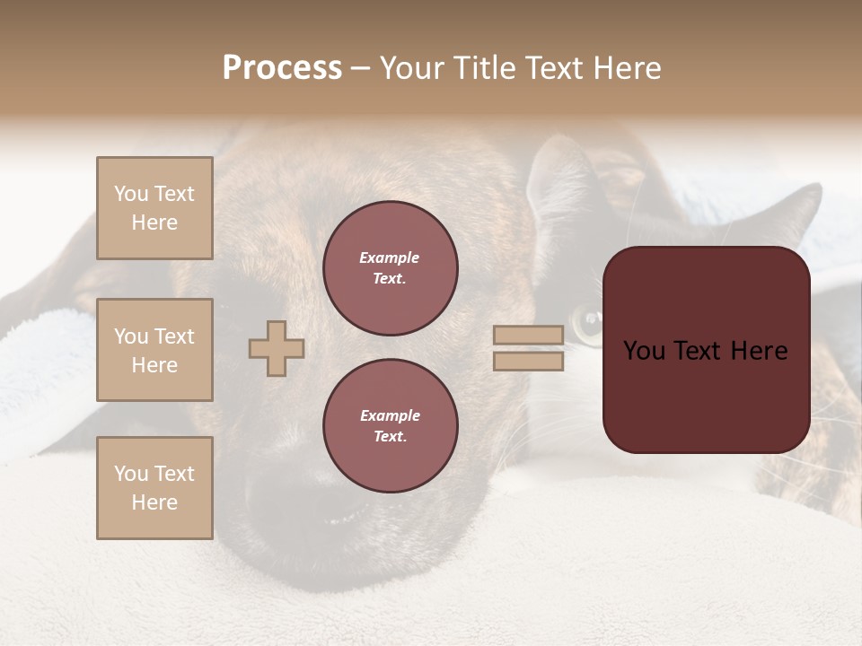 Gazing Relations Front PowerPoint Template