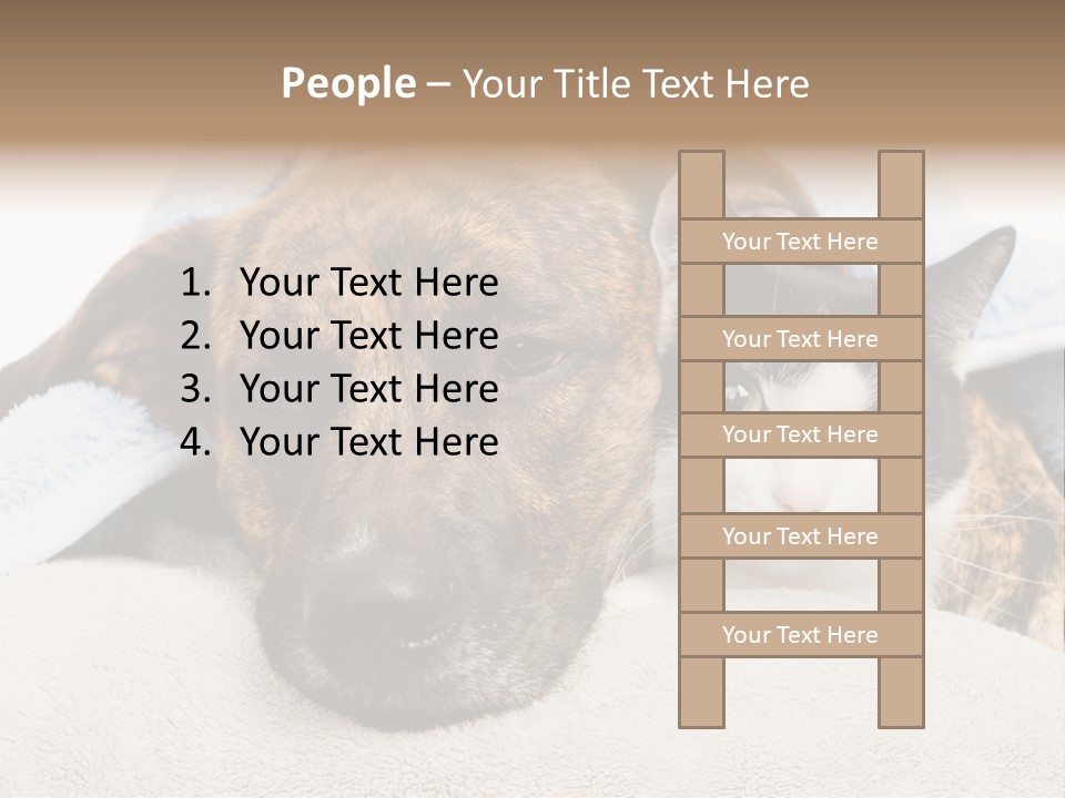 Gazing Relations Front PowerPoint Template