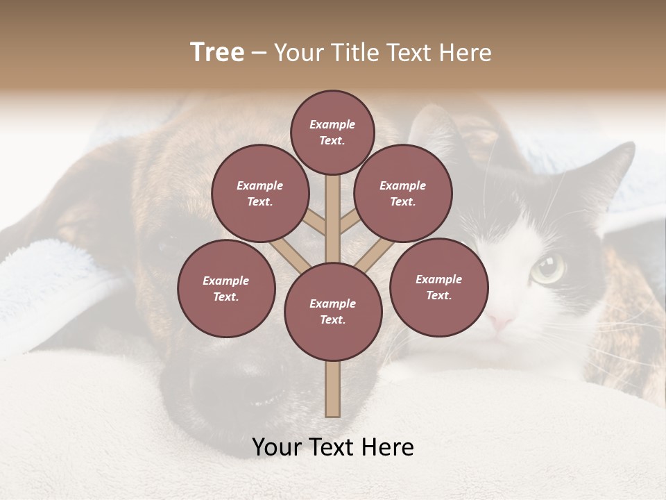 Gazing Relations Front PowerPoint Template